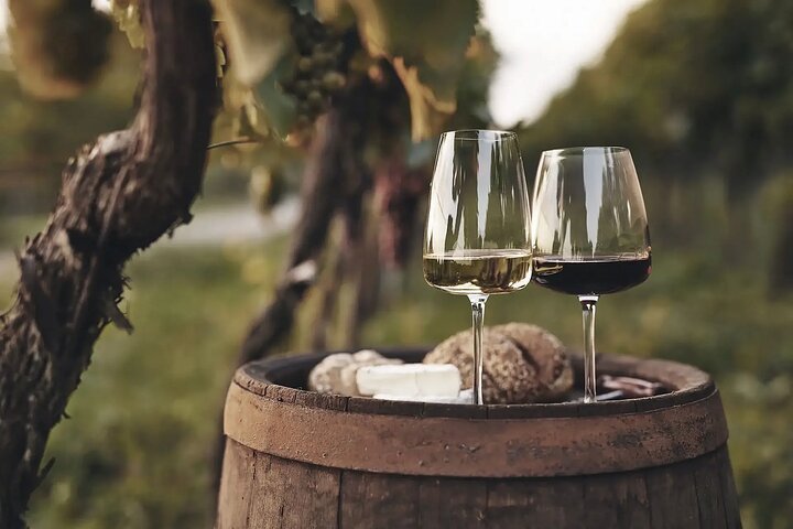 Winery